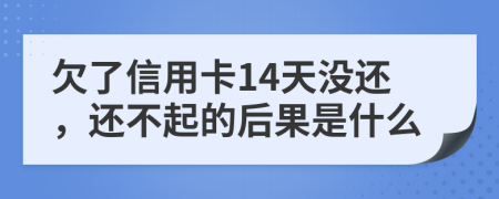 欠了信用卡14天没还，还不起的后果是什么