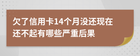 欠了信用卡14个月没还现在还不起有哪些严重后果
