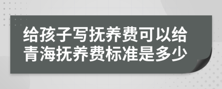 给孩子写抚养费可以给青海抚养费标准是多少
