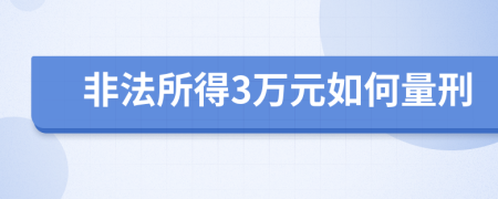 非法所得3万元如何量刑