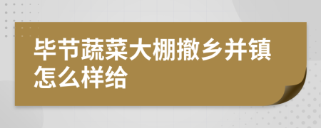 毕节蔬菜大棚撤乡并镇怎么样给