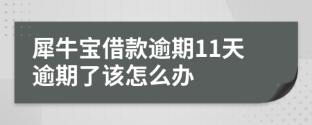 犀牛宝借款逾期11天逾期了该怎么办