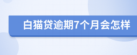 白猫贷逾期7个月会怎样