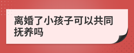 离婚了小孩子可以共同抚养吗