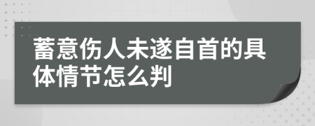 蓄意伤人未遂自首的具体情节怎么判