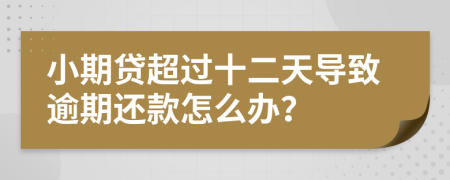 小期贷超过十二天导致逾期还款怎么办？