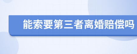 能索要第三者离婚赔偿吗