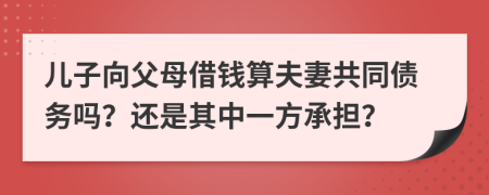 儿子向父母借钱算夫妻共同债务吗？还是其中一方承担？