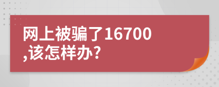 网上被骗了16700,该怎样办?