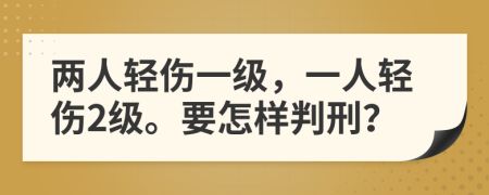 两人轻伤一级，一人轻伤2级。要怎样判刑？