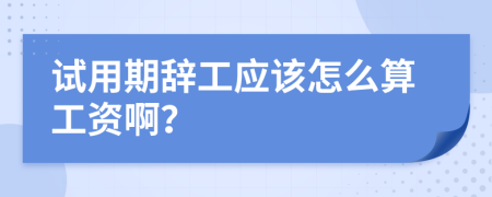 试用期辞工应该怎么算工资啊？