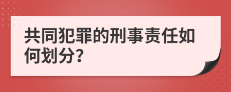 共同犯罪的刑事责任如何划分？