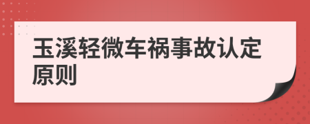 玉溪轻微车祸事故认定原则