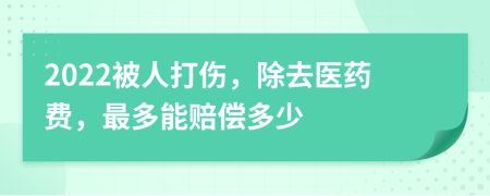 2022被人打伤，除去医药费，最多能赔偿多少