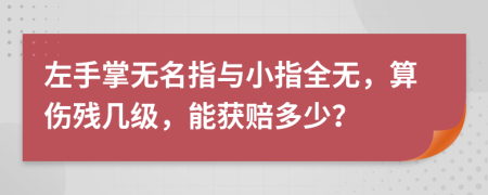 左手掌无名指与小指全无，算伤残几级，能获赔多少？