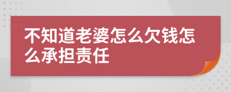 不知道老婆怎么欠钱怎么承担责任