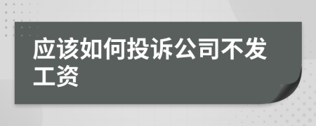 应该如何投诉公司不发工资