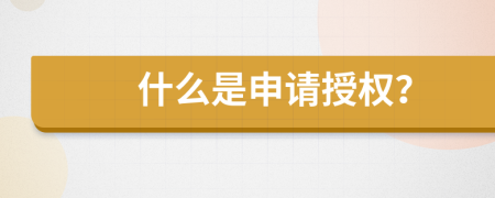 什么是申请授权？