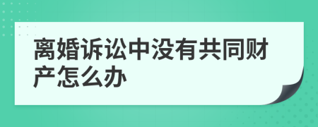 离婚诉讼中没有共同财产怎么办