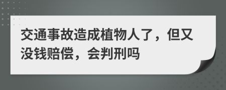 交通事故造成植物人了，但又没钱赔偿，会判刑吗