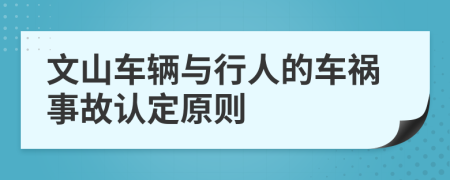 文山车辆与行人的车祸事故认定原则