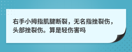 右手小拇指肌腱断裂，无名指挫裂伤，头部挫裂伤。算是轻伤害吗