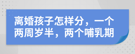 离婚孩子怎样分，一个两周岁半，两个哺乳期