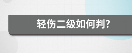 轻伤二级如何判?