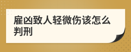 雇凶致人轻微伤该怎么判刑