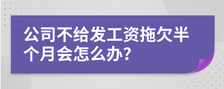 公司不给发工资拖欠半个月会怎么办？