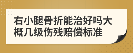 右小腿骨折能治好吗大概几级伤残赔偿标准