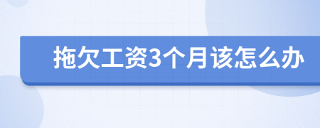 拖欠工资3个月该怎么办