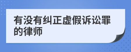 有没有纠正虚假诉讼罪的律师