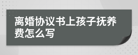 离婚协议书上孩子抚养费怎么写