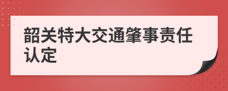 韶关特大交通肇事责任认定