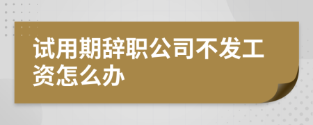 试用期辞职公司不发工资怎么办