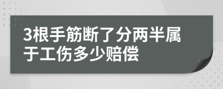 3根手筋断了分两半属于工伤多少赔偿