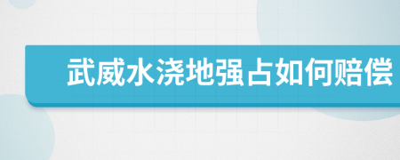 武威水浇地强占如何赔偿