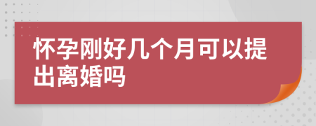 怀孕刚好几个月可以提出离婚吗