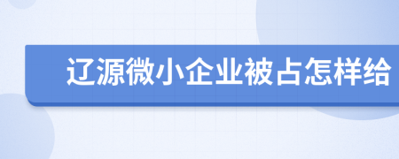 辽源微小企业被占怎样给