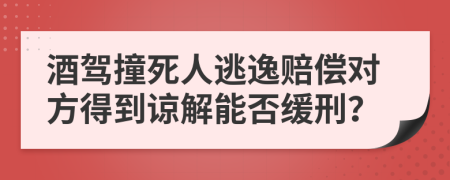 酒驾撞死人逃逸赔偿对方得到谅解能否缓刑？