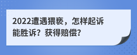 2022遭遇猥亵，怎样起诉能胜诉？获得赔偿？