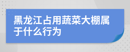 黑龙江占用蔬菜大棚属于什么行为