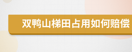 双鸭山梯田占用如何赔偿
