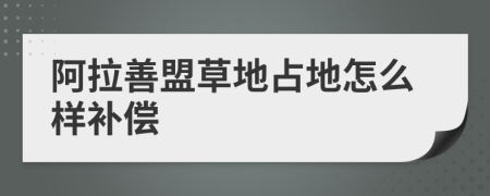 阿拉善盟草地占地怎么样补偿