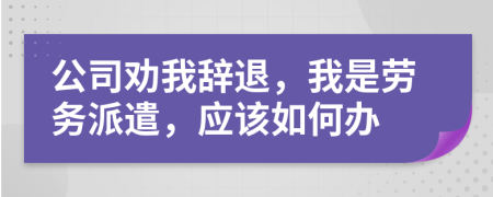 公司劝我辞退，我是劳务派遣，应该如何办