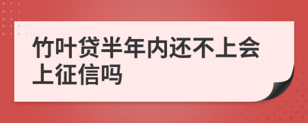 竹叶贷半年内还不上会上征信吗
