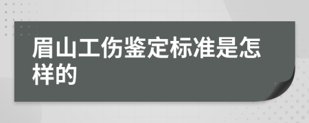 眉山工伤鉴定标准是怎样的