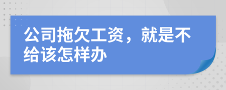 公司拖欠工资，就是不给该怎样办