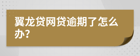 翼龙贷网贷逾期了怎么办？